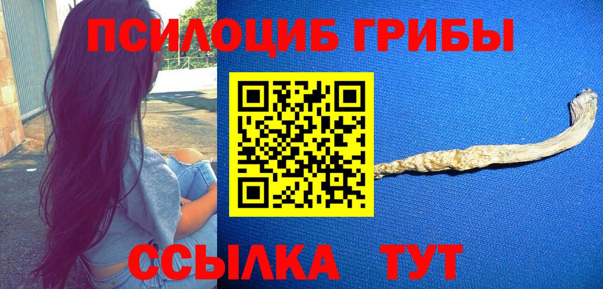 Октябрьский  Псилоцибиновые грибы Cubensis  Вход с VPN 